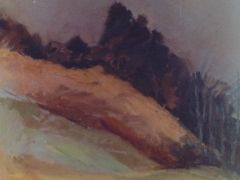 „Pejzaż-Zakopane”