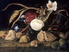 „Muszelki i powój”